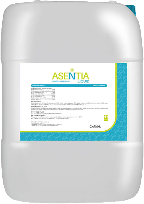 ASENTIA LIQUID * 20 LT